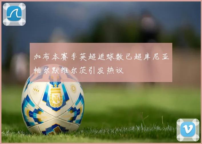 加布本赛季英超进球数已超库尼亚帕尔默维尔茨引发热议