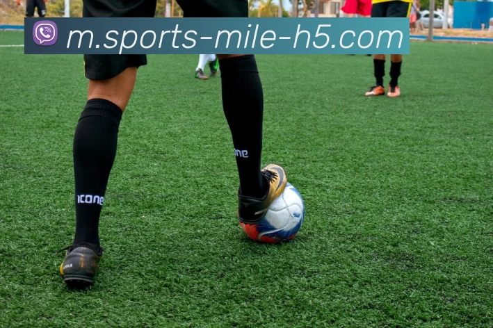 米乐体育APP 封面图